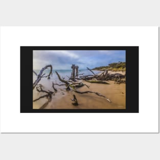 The Cattle Jetty, Observation Point, Point Nepean, Portsea, Mornington Peninsula, Victoria, Australia. Posters and Art